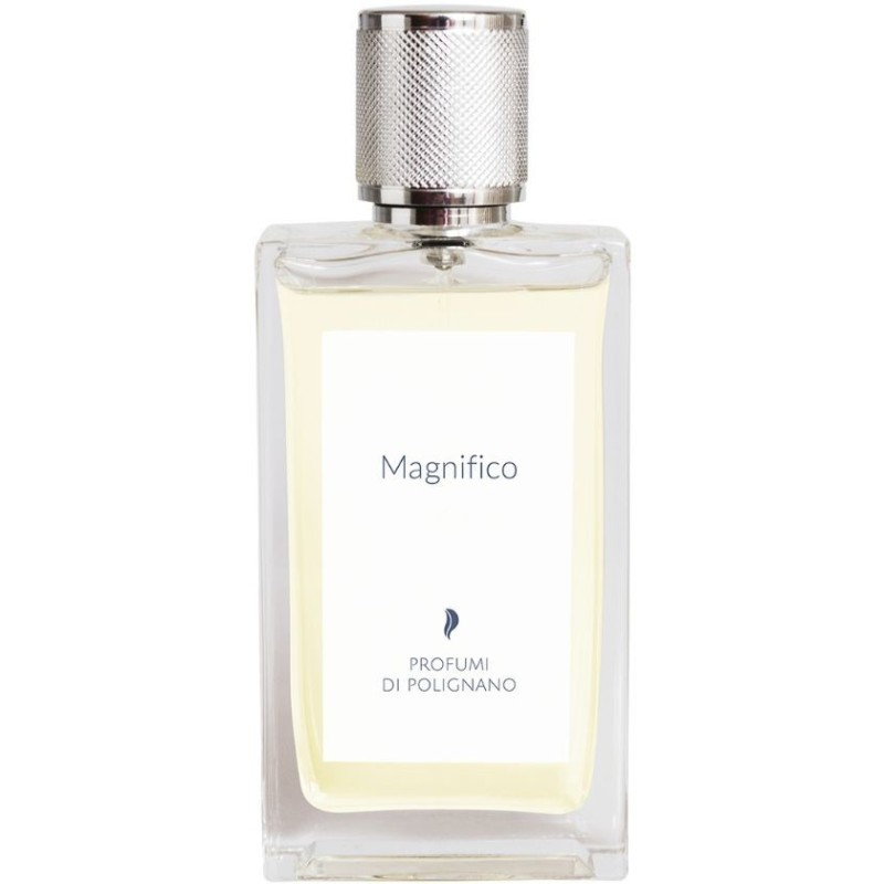 Magnifico EDP 100ml