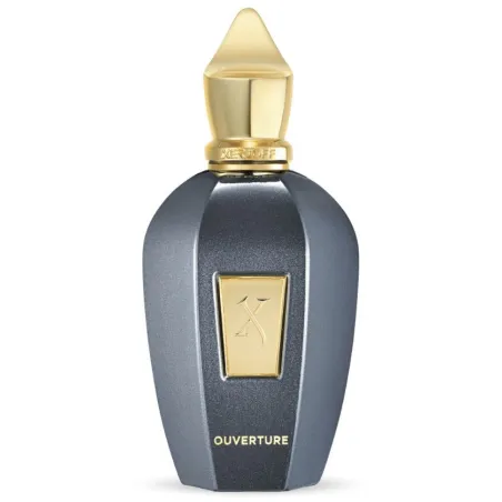 Ouverture EDP 100ml